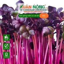 Hạt giống mầm củ cải đỏ