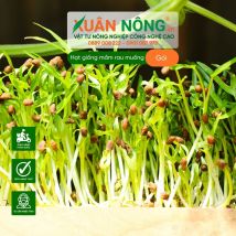 Hạt giống mầm rau muống