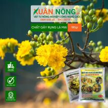 CHÁT RỤNG LÁ MAI ĐHCT