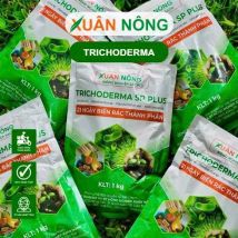 Nấm trichoderma