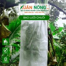 Túi bao trái chuối