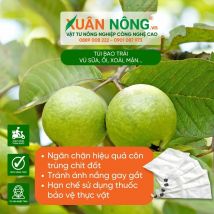 Túi bao trái vú sữa, ổi, xoài, mận...
