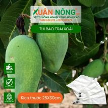 Túi bao trái xoài ( tứ quý, thái, đài loan,cát,..)
