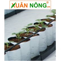 Túi trồng cây 2 da