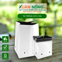 Túi trồng cây 2 da