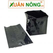Túi ươm cây giống