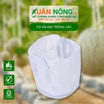 Túi vải địa trồng cây