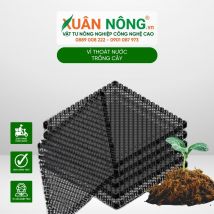 Vỉ thoát nước trồng cây