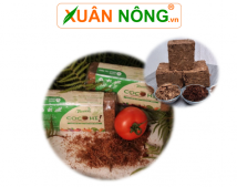 Viên nén xơ dừa đã xử lý coco hi