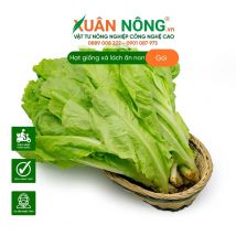 Hạt giống xà lách ăn non