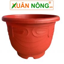 Chậu tròn nơ