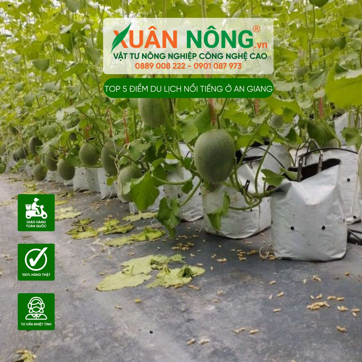 Vườn trái cây Givi Farm