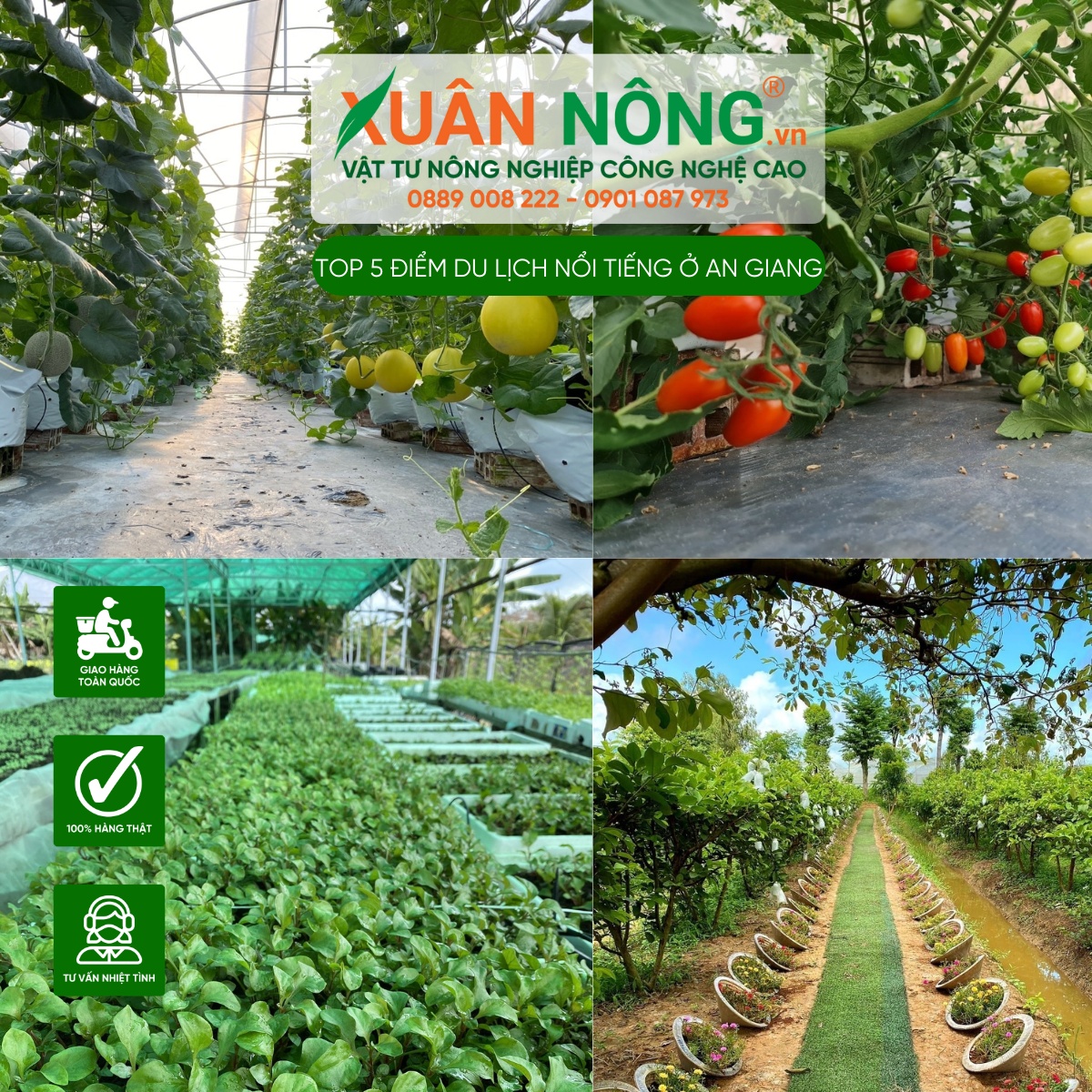 Nông trại Phan Nam