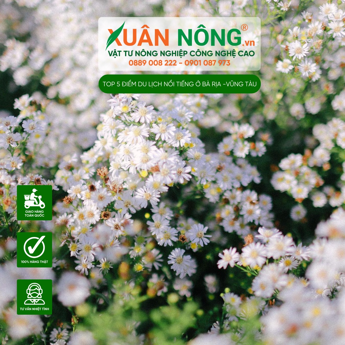 Vườn Hoa Đình Đắc