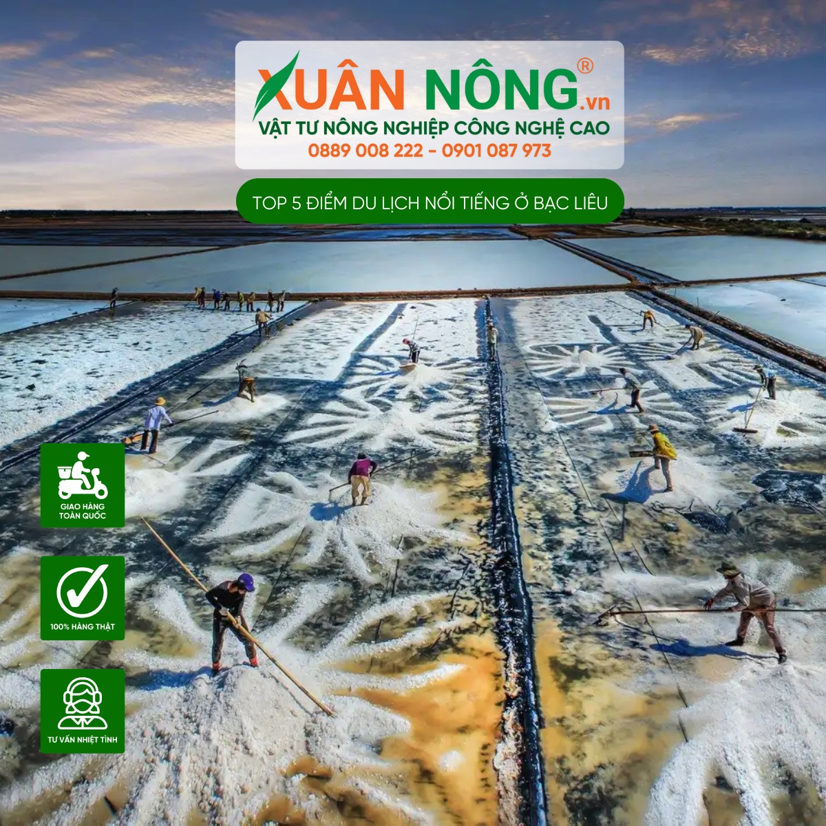 Cánh đồng muối 
