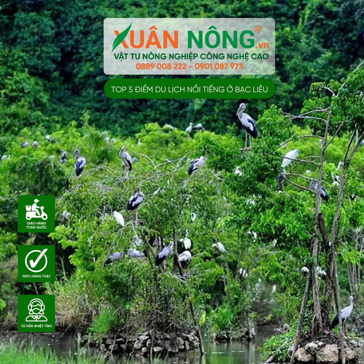 Vườn chim Bạc Liêu