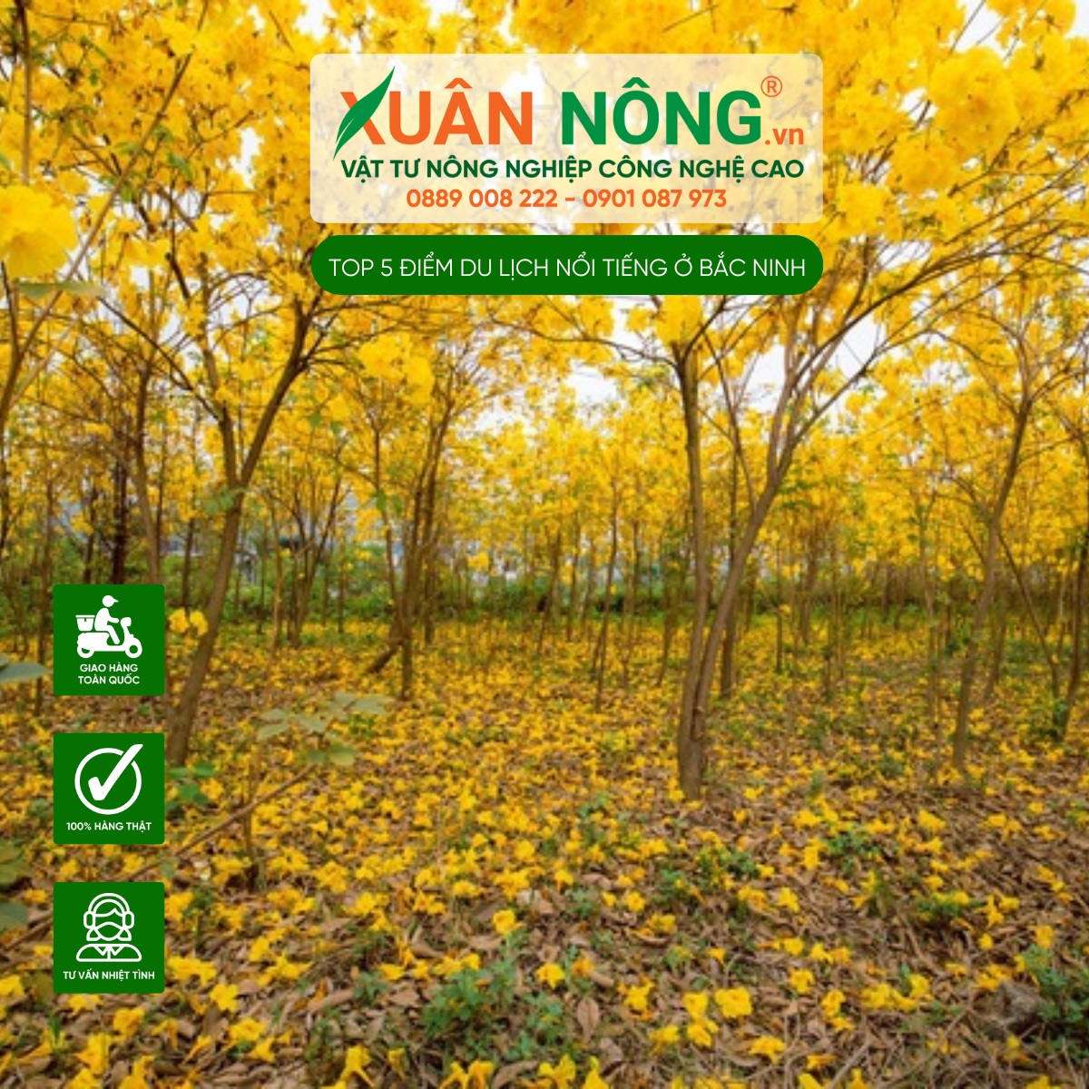 Vườn hoa phong linh