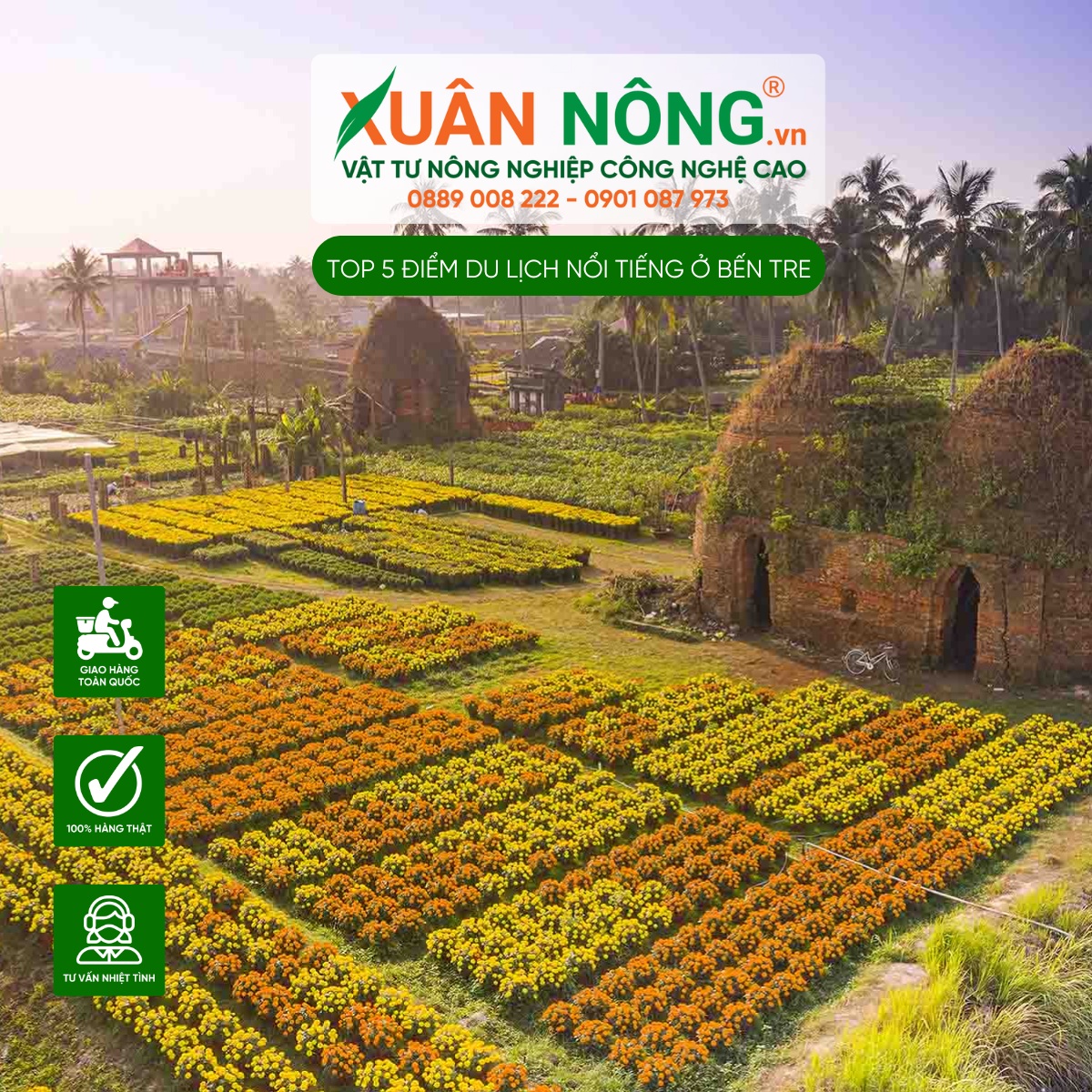 Làng hoa kiểng Cái Mơn tại Chợ Lách