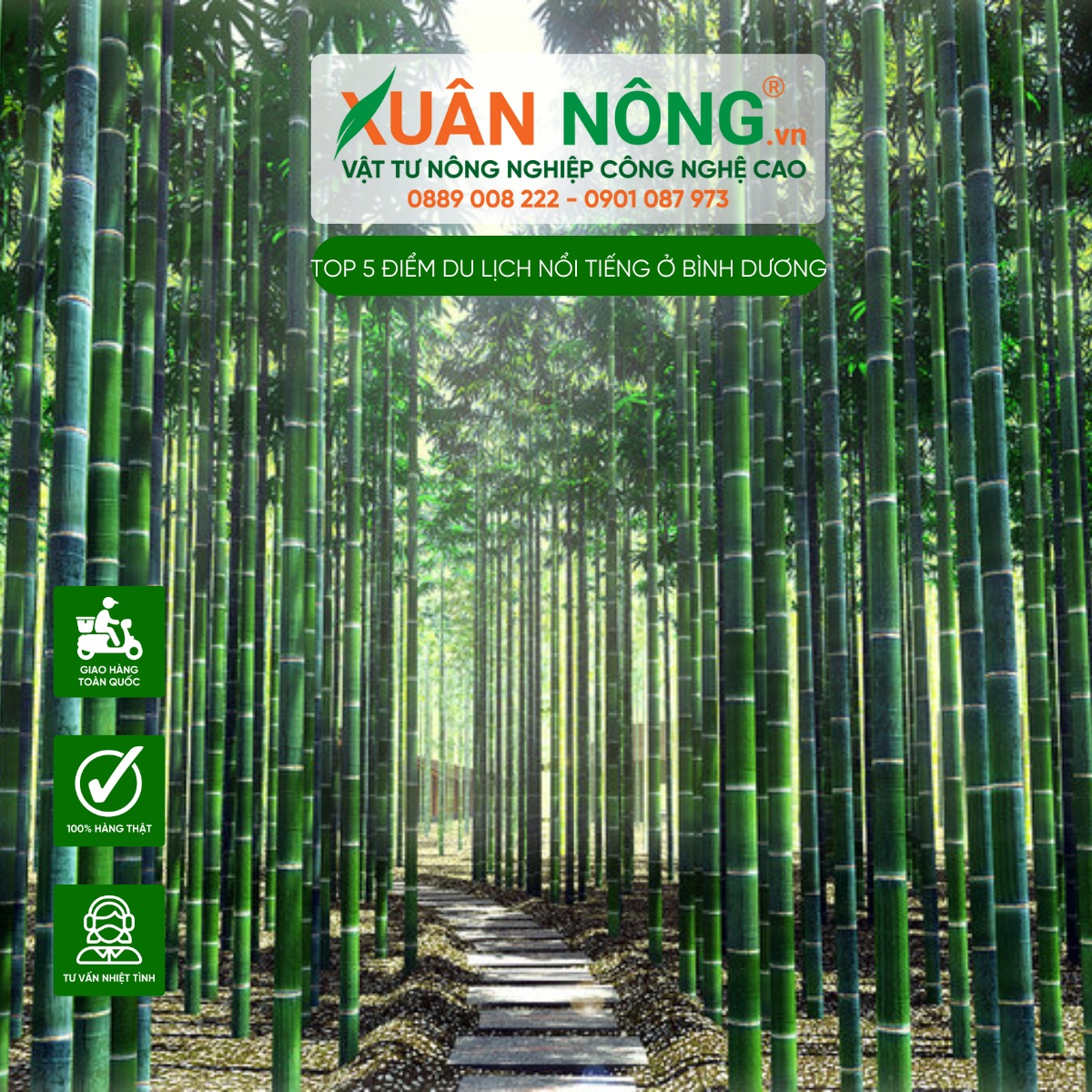 Làng tre Phú An (Bình Dương)