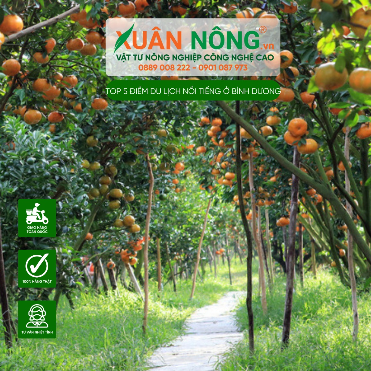 Vườn Cây Ăn Trái Lái Thiêu