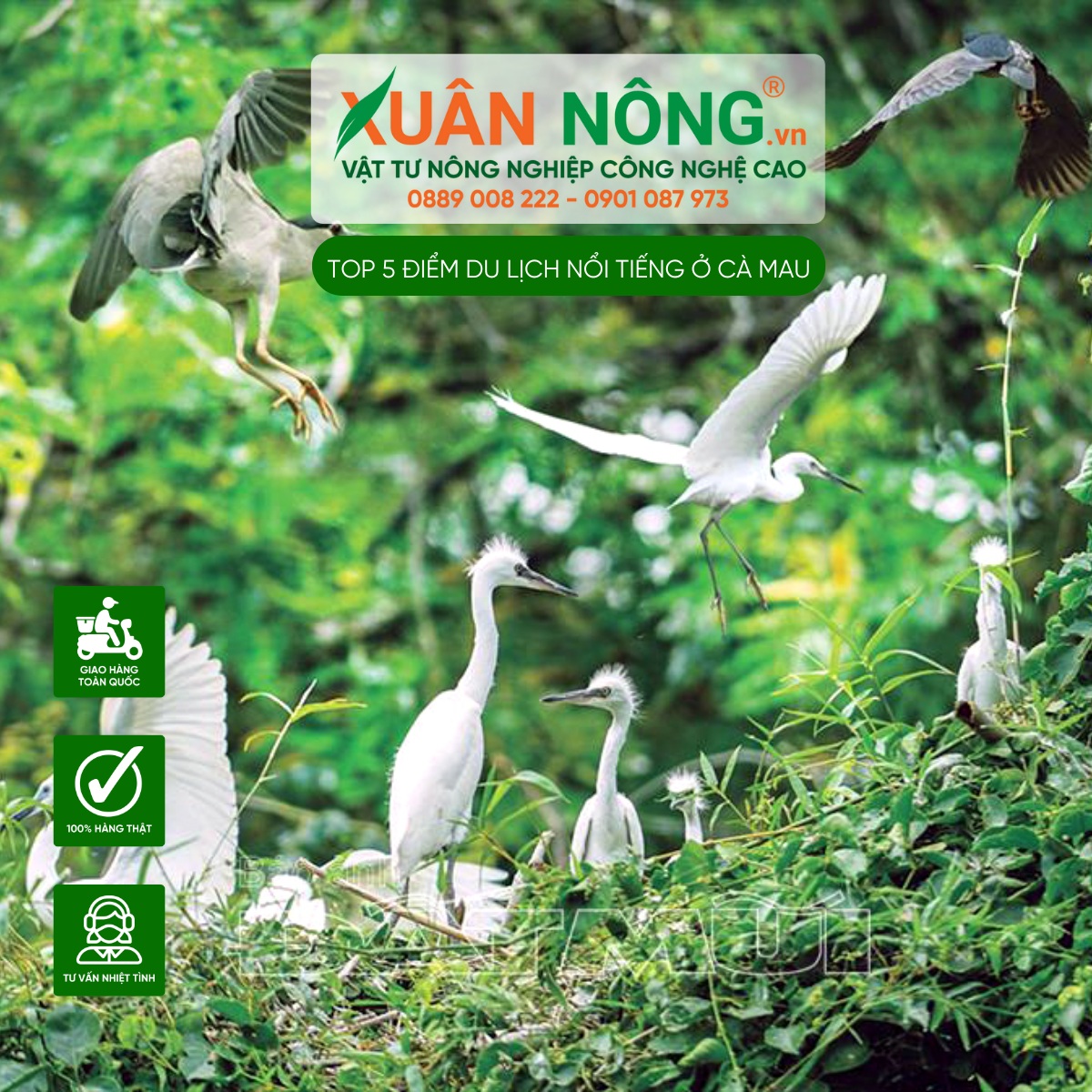 Vườn cò Tư Sự (Cà Mau)