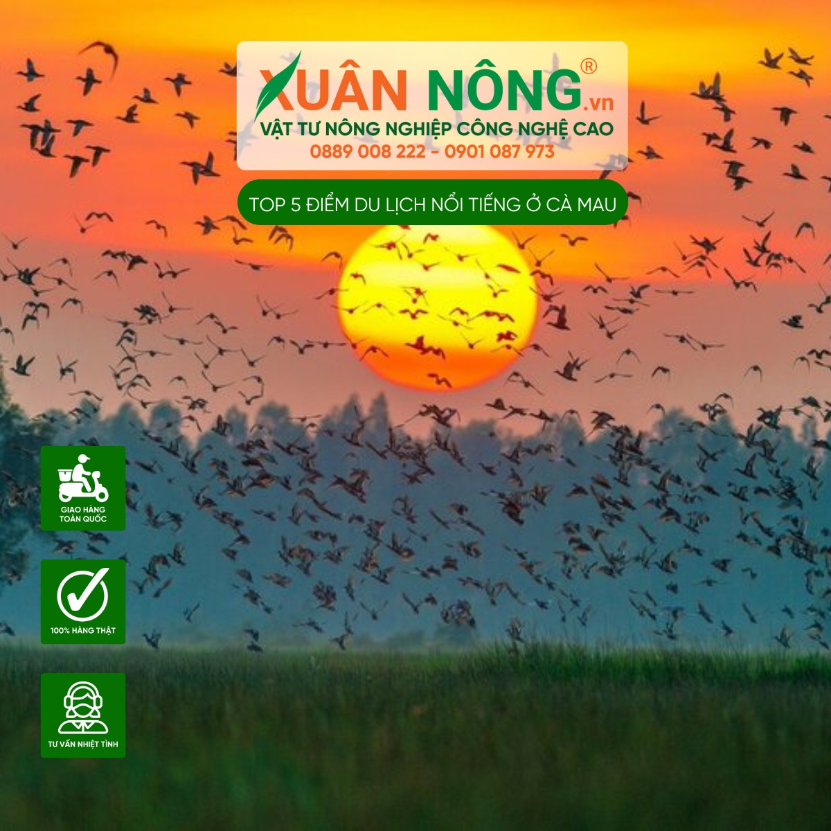Vườn Chim Cà Mau
