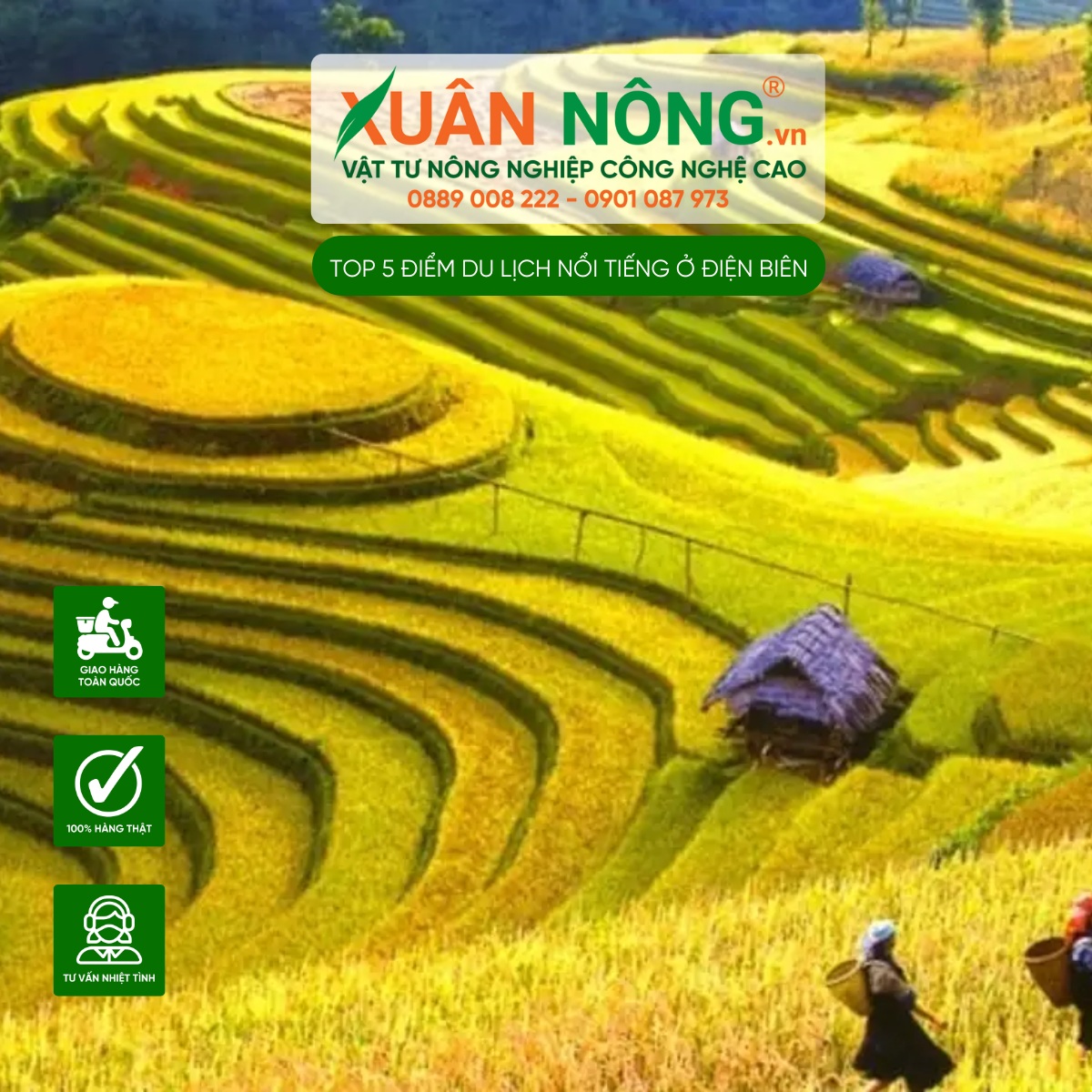 Cánh đồng Mường Thanh - Trái Tim Của Điện Biên