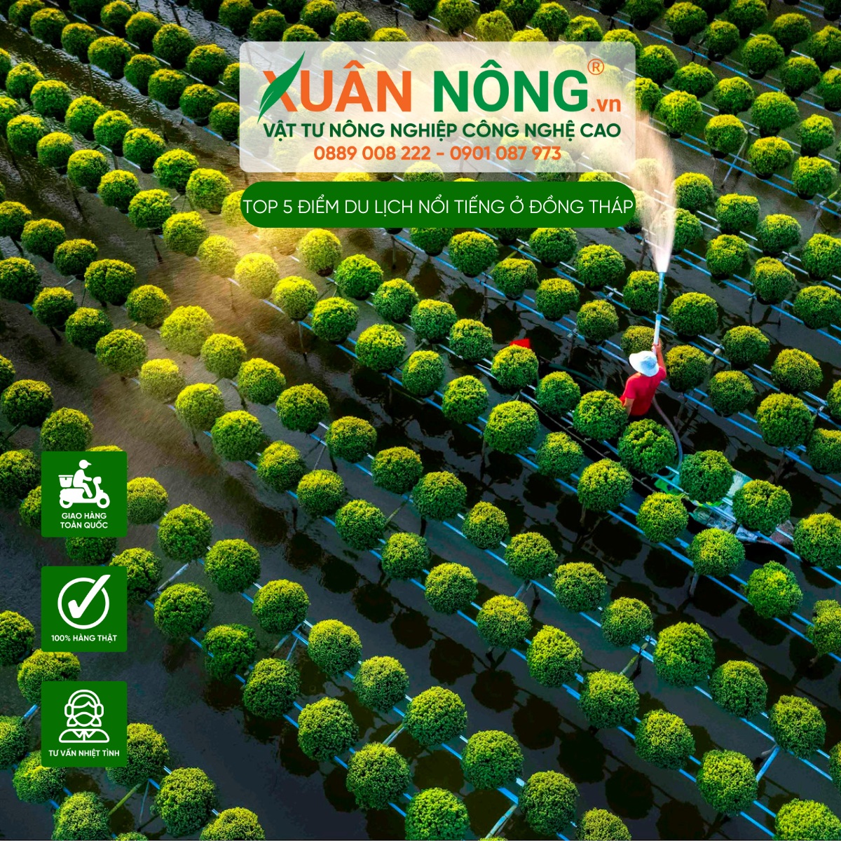 Làng hoa Sa Đéc