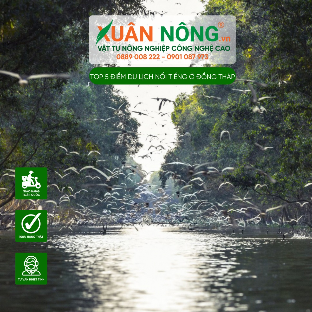 Vườn Quốc Gia Tràm Chim