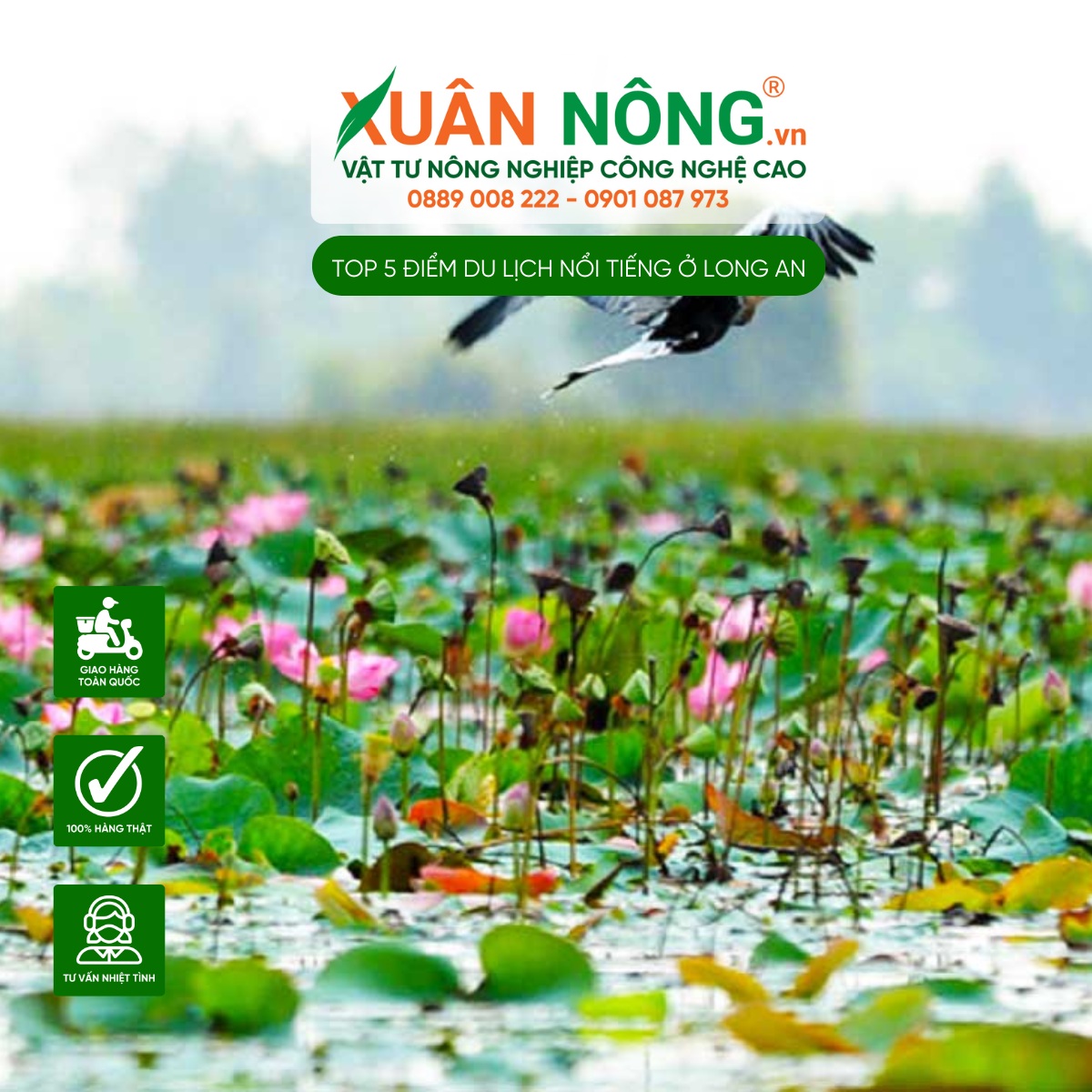 Khu bảo tồn đất ngập nước Láng Sen