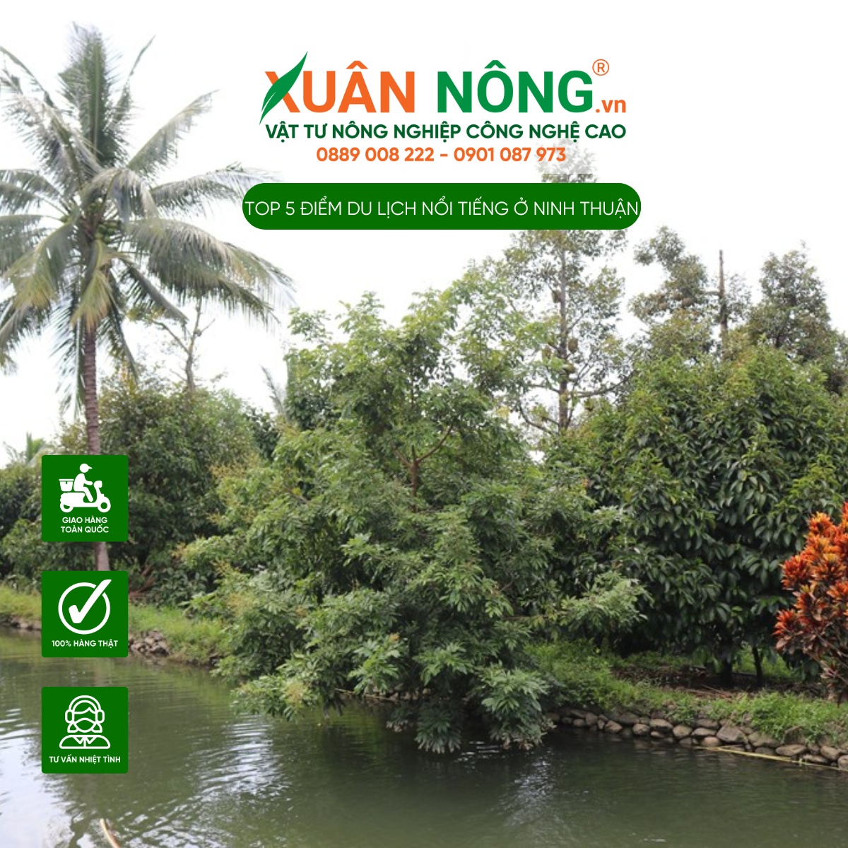  Vườn trái cây Lâm Sơn - Ninh Sơn