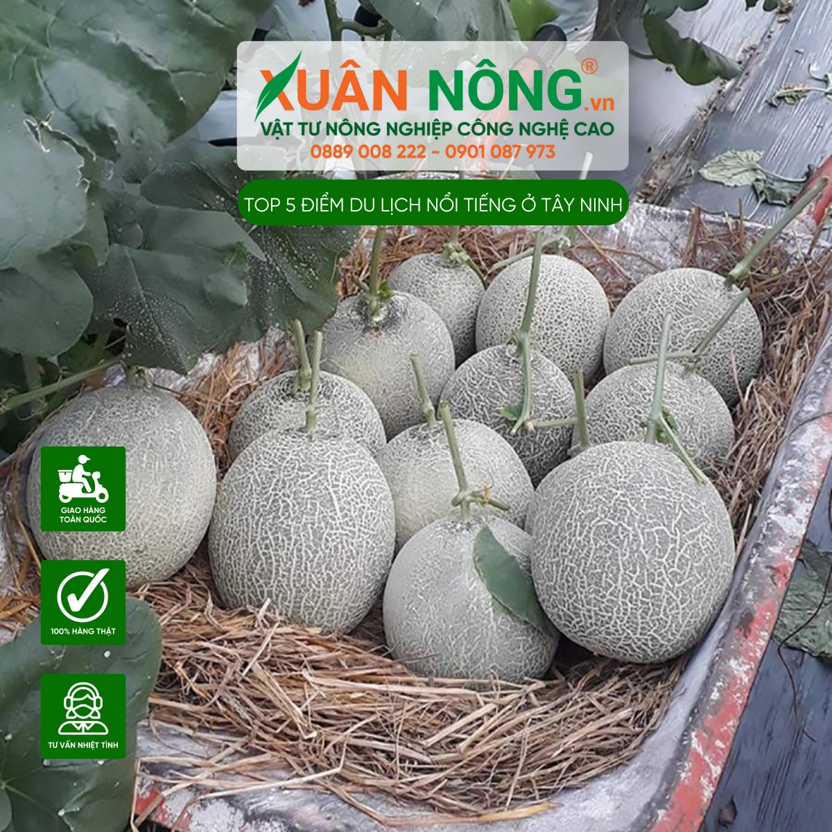 Nông Trại Nam Trạng