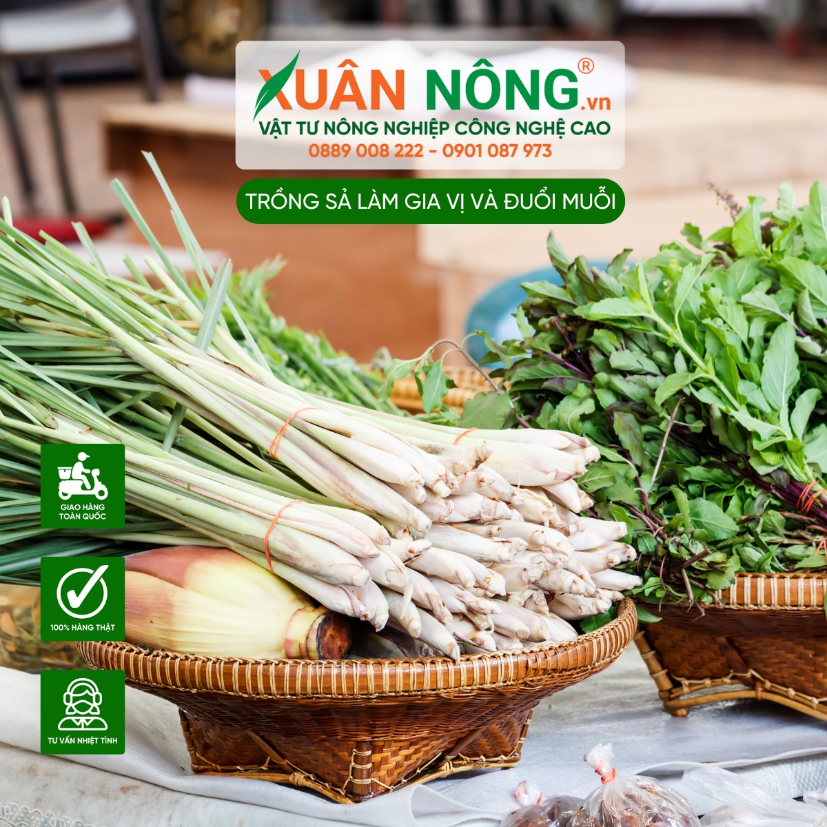 Nguồn nguyên liệu nấu ăn sạch