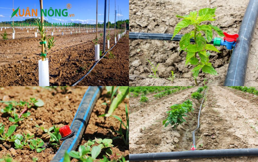 Khả năng tiết kiệm nước tối đa so với phương pháp truyền thống