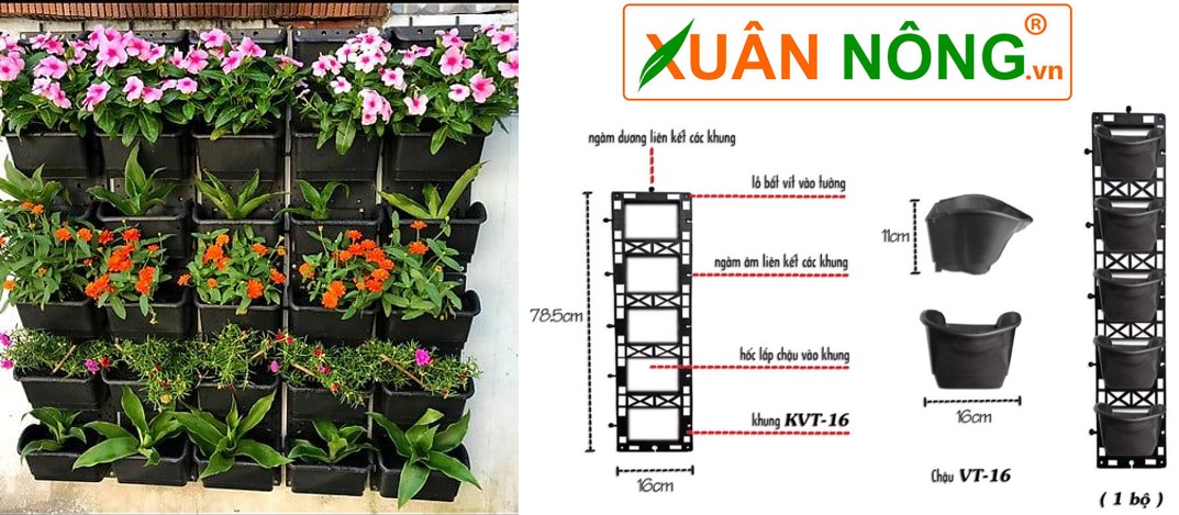 vườn tường modun