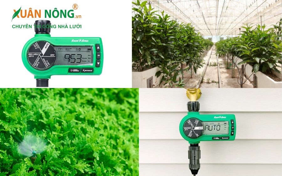 Bộ van hẹn giờ tưới cây Rainbird SST600IN