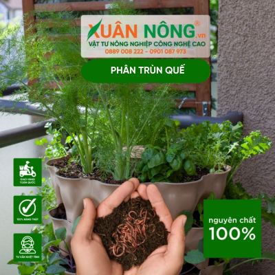 Bán sỉ các loại phân bón trùn quế tại Xuân Nông