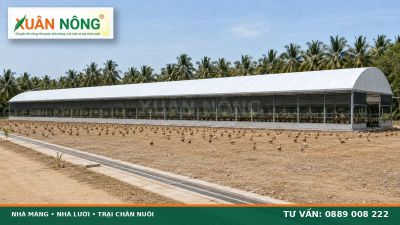 Hệ Thống Cooling Pad V&agrave; Quạt H&uacute;t Cho Trại Vịt