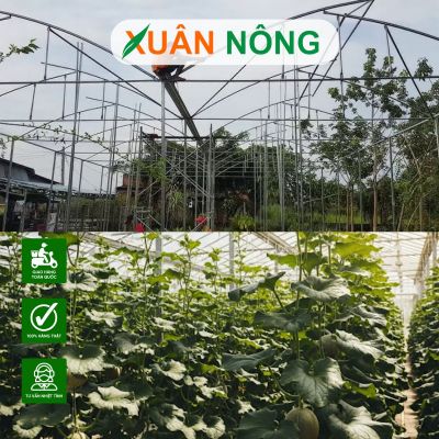 Chí phí làm nhà màng 1000m2 tại An Giang 2025