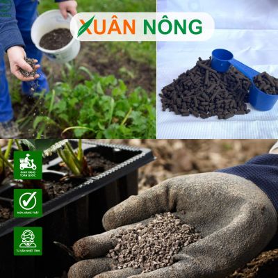 Cách bón phân hữu cơ sinh học đạt hiệu quả cao