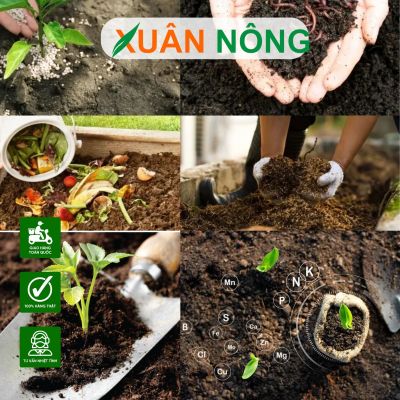 Phân bón hữu cơ: Lựa chọn bền vững cho cây trồng