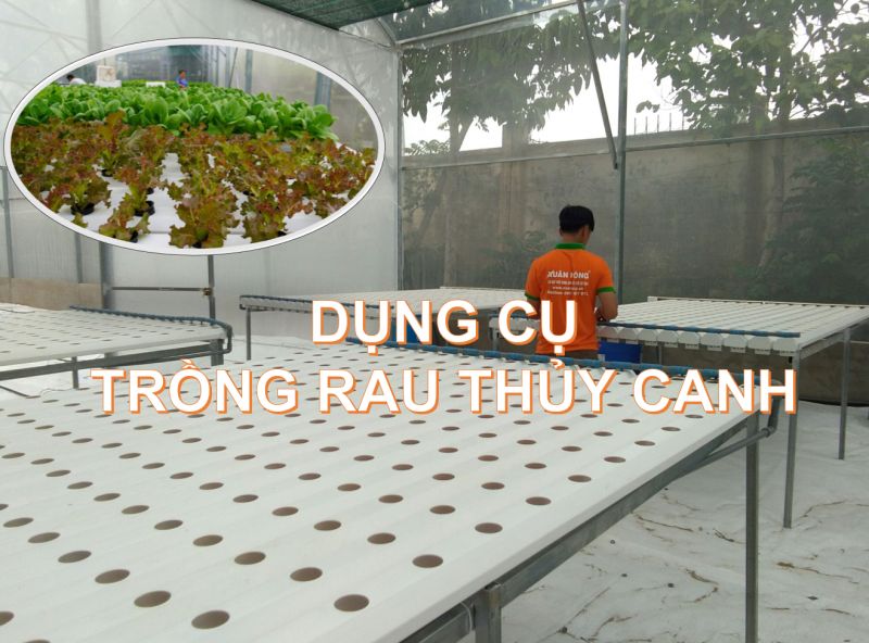 Danh sách các dụng cụ cần thiết để trồng rau thủy canh