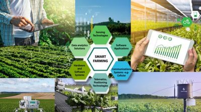 Một số ứng dụng công nghệ cao trong mô hình nông nghiệp 4.0