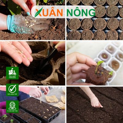 Hạt giống Cần Thơ chất lượng: Gieo một lần, hái cả mùa