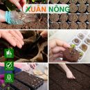 Hạt giống Cần Thơ chất lượng: Gieo một lần, hái cả mùa
