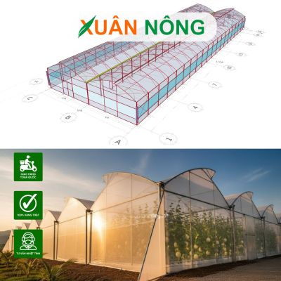 Nhà màng trồng dưa lưới - Cấu tạo nhà màng đạt chuẩn