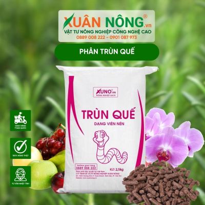 Phân trùn quế: Đặc điểm, thành phần và hướng dẫn sử dụng