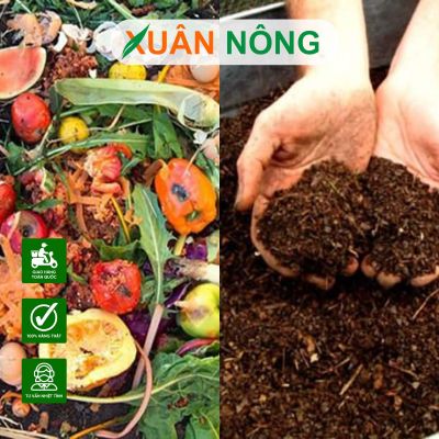 Hướng dẫn chi tiết cách ủ phân hữu cơ tại nhà
