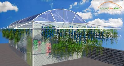 Có nên làm nhà màng trồng rau trên sân thượng không?