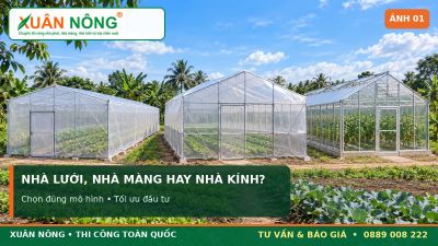 Nh&agrave; lưới v&agrave; nh&agrave; m&agrave;ng kh&aacute;c nh&agrave; k&iacute;nh thế n&agrave;o?